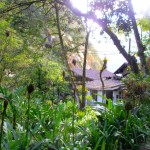Part of the 13 acresw
