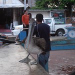 FishMarket