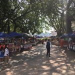 In the square with bustling market and beautiful colours
