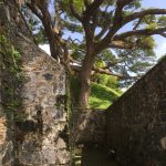 The walls everywhere were solid, built to last