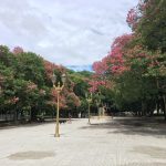 Stroll in park on route to station