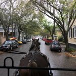 Lovely tree lined streets
