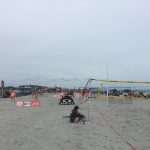 Girls playing volleyball 