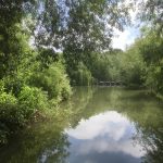 Lovely view as we entered the Oxford Canal.