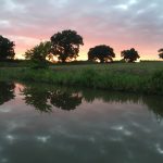 So peaceful