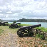 Fort James’s 