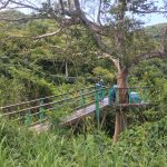 One of the bridges we crossed