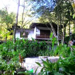 One of the Casitas set in this 13 acre jungle garden 